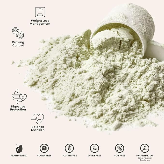 310 Nutrition All-In-One Meal Replacement Shake Powder - Plant-Based Protein Smoothie Blend w/High Fiber, Probiotics & Adaptogens - Low Carb, Vegan, Keto & Paleo Friendly - Chocolate Mint - 14 Srv