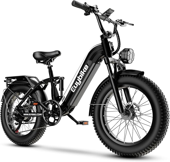 1500W Electric Bike for Adults,48V 20/60Ah Removable Battery Max Range 80Miles & 30MPH Electric Bicycle,20''×4" Fat Tire Ebike,Adult Electric Bicycles for Commute Beach Snow,E-Bike UL Certified