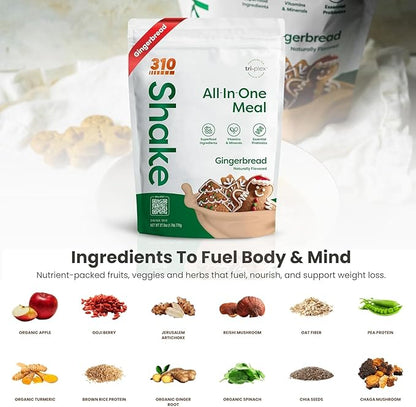 310 Nutrition All-In-One Meal Replacement Shake Powder - Plant-Based Protein Smoothie Blend w/High Fiber, Probiotics & Adaptogens - Low Carb, Vegan, Keto & Paleo Friendly - Gingerbread - 28 Srv