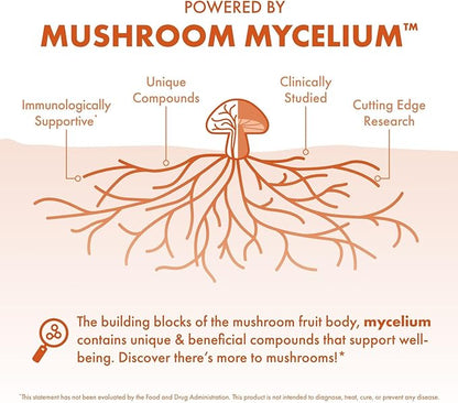 Host Defense Cordyceps Capsules - Immune & Energy Support Supplement - Kidney Health Supplement with Cordyceps - Fitness Support Supplement to Aid Oxygen Uptake - 120 Capsules (60 Servings)*