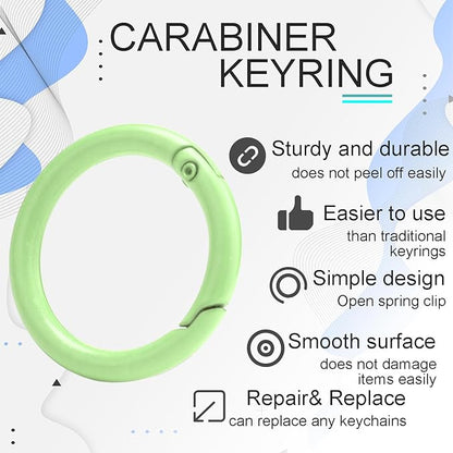 12 Pack 1 Inch Metal Round Carabiner Keyring, Trigger Spring O Rings for Keychain, Purse Chain Clips, Paracord Lanyard, Key Rings DIY Accessories (Assorted)