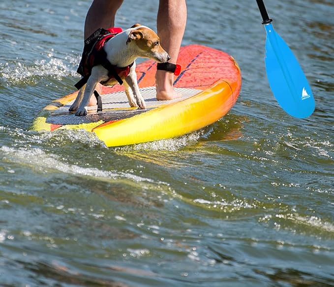 Kayak Paddle - Adjustable 2 Pieces Aluminum Alloy Shaft with Glass Fiber Blade for Surfing,Oar Fishing Easy Packable Travel