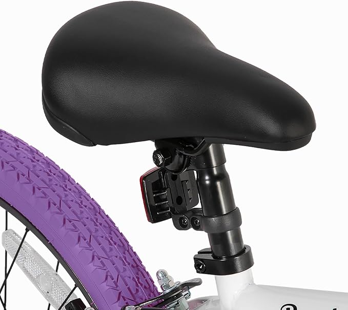 JOYSTAR Brockway Freestyle Kids BMX Bikes 20" 24" Kids Bicycles for 6-14 Years Old Boys Girls and Beginner-Level Riders 2 Pegs Multiple Colors