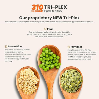 310 Nutrition - Vegan Organic Plant Powder and Meal Replacement Shake - Gluten, Dairy, and Soy Free - Keto and Paleo Friendly - 0 Grams of Sugar - Pumpkin Spice - 14 Servings