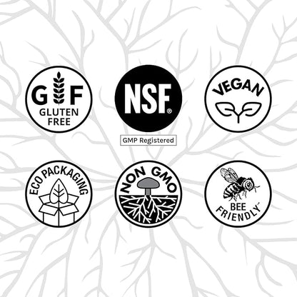 Host Defense CordyChi Capsules - Energy & Immune Support Supplement - Cordyceps & Reishi Mushroom Supplement for Relaxation & Respiratory Support - Aids Against Tiredness - 120 Capsules (60 Servings)*