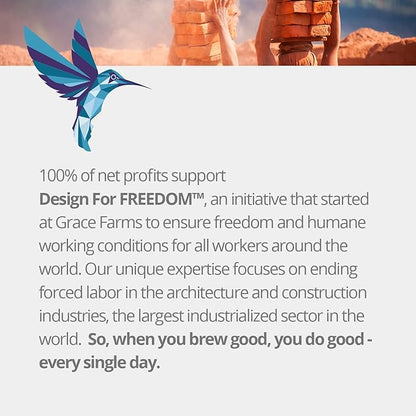 Grace Farms Shine Wellness Organic Tea Blend (50 Pyramid Sachets) | Hydrating Tea For Skin and Detox | Rooibos, Rosehips, Hibiscus, Tulsi, Haritaki | Fairtrade and Kosher | Gives Back 100% of Profits