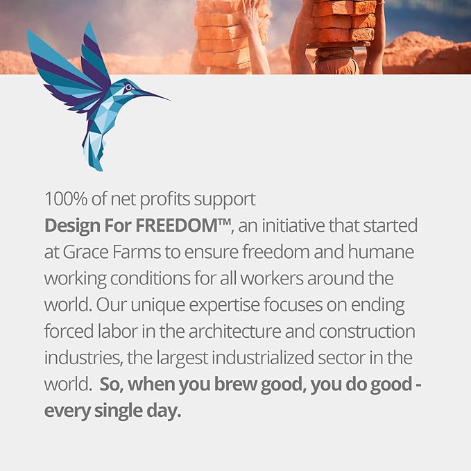 Grace Farms SHINE Wellness Organic Tea Blend (16 Pyramid Sachets) | Hydrating Tea For Skin and Detox | Rooibos, Rosehips, Hibiscus, Tulsi, and Haritaki | Fairtrade and Kosher | Gives Back 100% of Profits