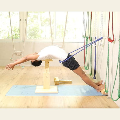 Yogikuti Iyengar Yoga Wall Rope Pair Premium Quality Cotton & Polyester Ropes for Restorative & Anti-Gravity Poses