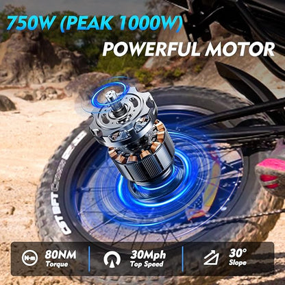 Electric Bike for Adults, Powerful 750W/ 1000W Peak Motor,Up to 25/30MPH, Max 25-45 Miles Long Range, 748.8/624 Wh Removable Battery,Ebike for Mountain,Snow,Sand,Road,Commuter