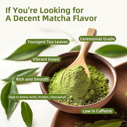 GANOHERB Mushroom Matcha Powder Latte Mix, 7.4 Ounce, 7 Superfood Mushrooms with 25% Beta-Glucans, Lions Mane, Reishi, Chaga, Coconut Powder, Ceremonial Grade Matcha Tea