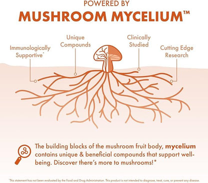 Host Defense Cordyceps Capsules - Immune & Energy Support Supplement - Kidney Health Supplement with Cordyceps - Fitness Support Supplement to Aid Oxygen Uptake - 30 Capsules (15 Servings)*