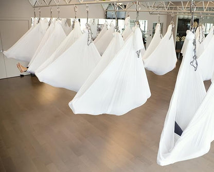 F.Life Aerial Silk Yoga Hammock & Swing for yoga Inversion,Strength training,starter hardware kit