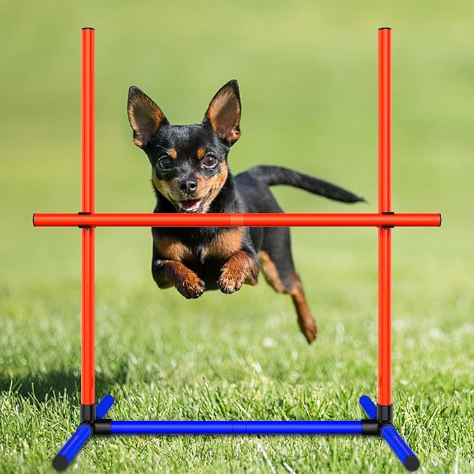 2-Set Adjustable Dog Agility Training Equipment for Backyard Set for Dogs