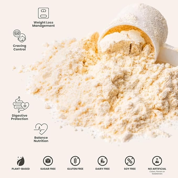310 Nutrition All-In-One Meal Replacement Shake Powder - Plant-Based Protein Smoothie Blend w/High Fiber, Probiotics & Adaptogens - Low Carb, Vegan, Keto & Paleo Friendly - Horchata - 14 Srv