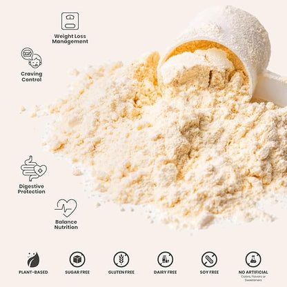 310 Nutrition All-In-One Meal Replacement Shake Powder - Plant-Based Protein Smoothie Blend w/High Fiber, Probiotics & Adaptogens - Low Carb, Vegan, Keto & Paleo Friendly - Horchata - 14 Srv