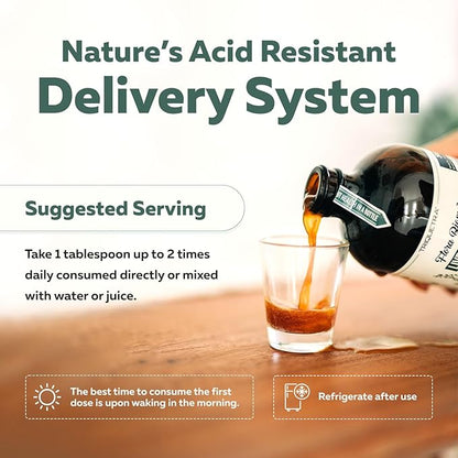 Flora Biome - Live Probiotic, Prebiotic, & Postbiotic – Organic Live-Culture – 10 Probiotic Strains, 18 Fermented Herbs - Complete Gut Health & Microbiome Optimizer (16 oz)