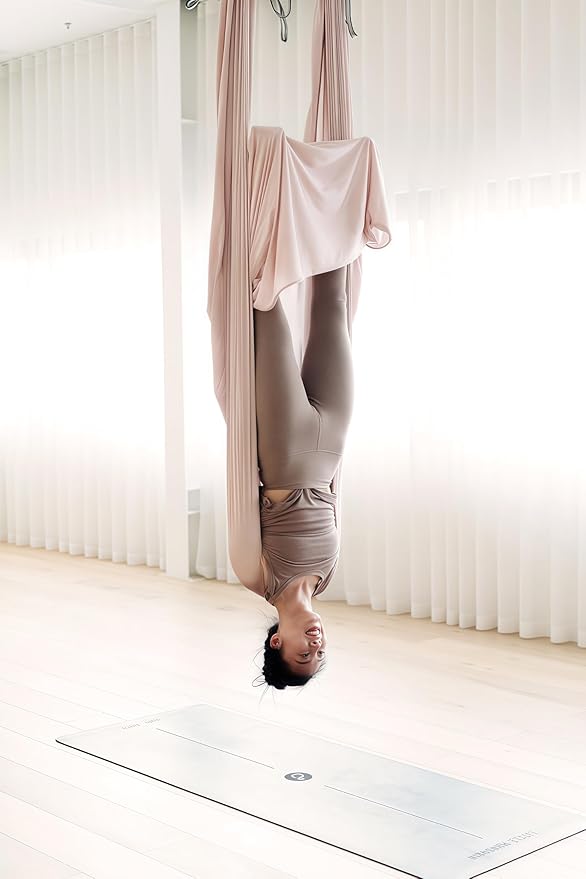 F.Life Aerial Silk Yoga Hammock & Swing for yoga Inversion,Strength training,starter hardware kit