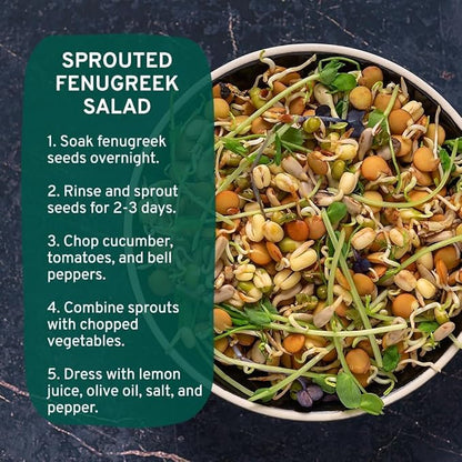 HANDPICK Fenugreek Seeds (14oz) ALL NATURAL Fenugreek - Indian Origin Whole Methi Seeds (Trigonella Foenum Graecum) Fenogreco En Semillas | Resealable Ziplock Pouch