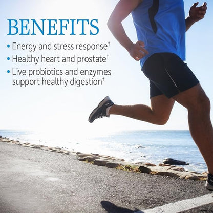 Garden of Life Vitamin Code Raw One for Men, Once Daily Multivitamin, 30 Capsules, One a Day Mens Vitamins Plus Fruit, Veggies & Probiotics for Mens Health, Vegetarian Multivitamins