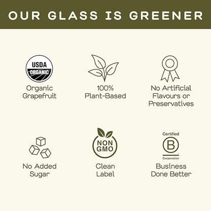 Fiery Ginger & Variety Pack (60 ml (Pack of 12), Variety Pack 2.0)