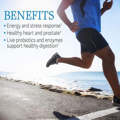 Garden of Life Vitamin Code Raw One for Men, Once Daily Multivitamin, 75 Capsules, One a Day Mens Vitamins Plus Fruit, Veggies & Probiotics for Mens Health, Vegetarian Multivitamins