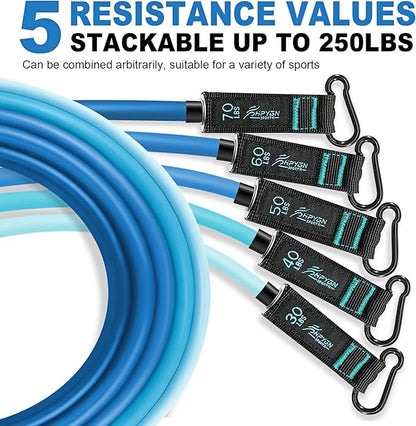 HPYGN Resistance Bands, Exercise Bands with Handles, Fitness Bands, Workout Bands with Door Anchor and Ankle Straps, for Heavy Resistance Training, Physical Therapy, Shape Body, Yoga, Home Workout Set