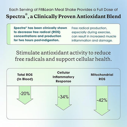 Fit & Lean Meal Shake, Fat Burning Meal Replacement, Protein, Fiber, Probiotics, Vanilla, 1lb, 10 Servings Per Container