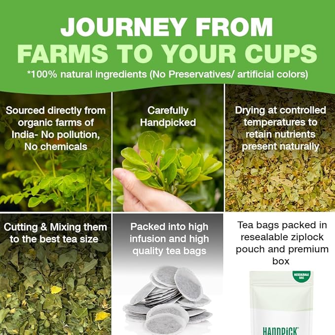 HANDPICK, Organic Moringa Tea Bags (100 Count), Pure Moringa Leaves | Authentic Indian Origin | Caffeine Free, Non GMO | Earthy, Light & Refreshing | Round Eco-conscious Teabags