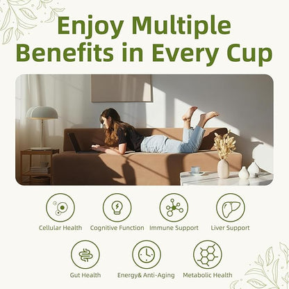 GANOHERB Mushroom Matcha Powder Latte Mix, 7.4 Ounce, 7 Superfood Mushrooms with 25% Beta-Glucans, Lions Mane, Reishi, Chaga, Coconut Powder, Ceremonial Grade Matcha Tea