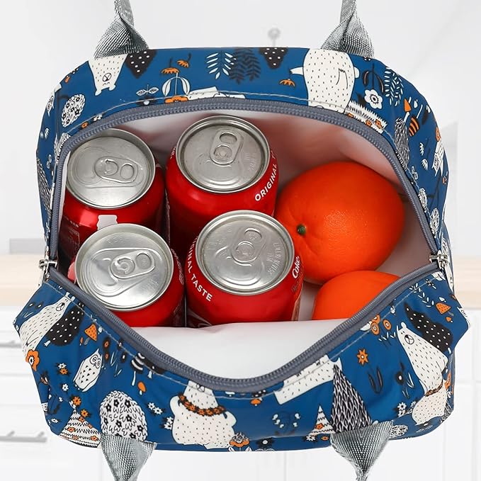 FlowFly Insulated Lunch Cooler Bag - Tote Bag Organizer for Women/Men, Owl