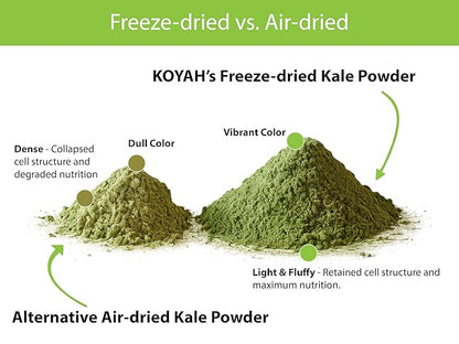KOYAH - Organic USA Kale Powder (Equivalent to 30 Cups Fresh): Freeze-dried, Whole-Leaf Powder