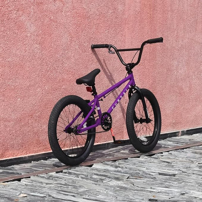 Freestyle BMX Bike, 18 20 Inch Kids Bicycle for 5-13 Years Old Kids and Beginner Level Rider, Multiple Colors