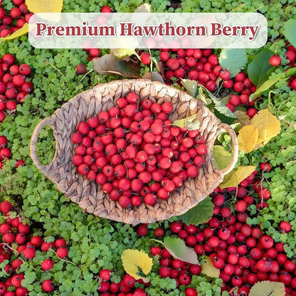 FullChea Hawthorn Berry Tea - 50 Teabags, 3g/bag - Premium, Non-GMO, Caffeine-free, Aids Digestion & Provides Antioxidants