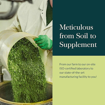 Gaia Herbs Thyroid Support - Made with Ashwagandha, Kelp, Brown Seaweed, and Schisandra to Support Healthy Metabolic Balance and Overall Well-Being - 120 Vegan Liquid Phyto-Capsules (40-Day Supply)