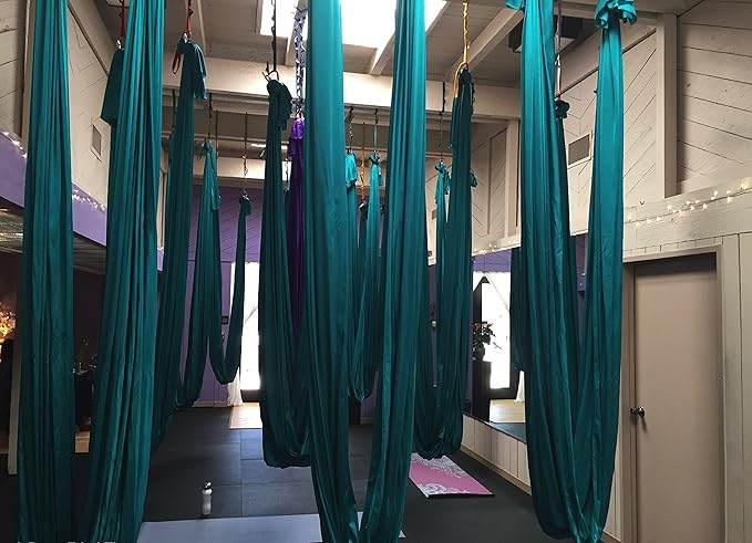 F.Life Aerial Silk Yoga Hammock & Swing for yoga Inversion,Strength training,starter hardware kit