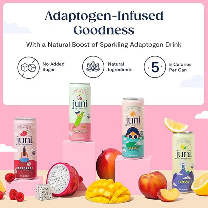 Juni Sparkling Adaptogen Drink with Ashwagandha, Lion's Mane & Reishi Mushrooms | Green Tea for Focus | Zero Sugar, 5 Calories | All Flavors 24-Pack