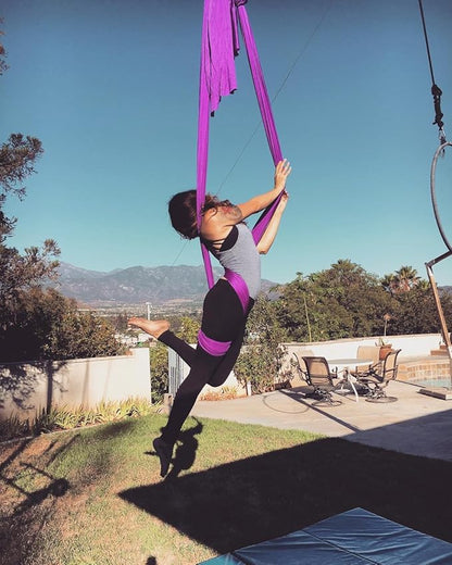 F.Life Aerial Silk Yoga Hammock & Swing for yoga Inversion,Strength training,starter hardware kit