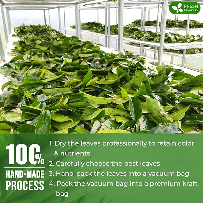 FreshDrinkUS, 75+ Premium Soursop Graviola Dried Leaves Tea, Natural Whole Leaves, Wildcrafted, Hoja De Guanabana, Soursop/Guanabana/Graviola Tea, No Sugar/Gluten/Caffeine/Non GMO, Vegan