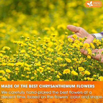 FreshDrinkUS, Premium 8oz Chrysanthemum Flowers, 100% Natural & Pure Chrysanthemum Flower Dried, Chrysanthemum Herbal Tea, No Additives, No Caffeine, Vegan
