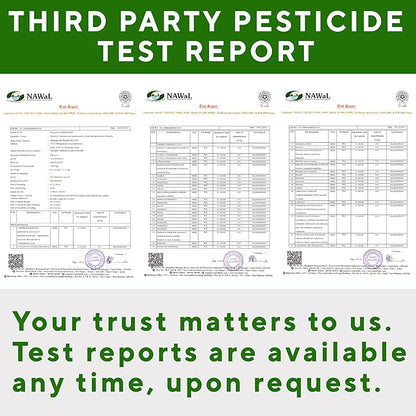 Grenera Organic Moringa Powder - 2.2 lbs (35.2 oz) | Moringa Oleifera Leaf Powder Lab Tested for Purity | Moringa Powder Organic Perfect for Smoothies, Drinks, Tea & Recipes | 100% Raw from India