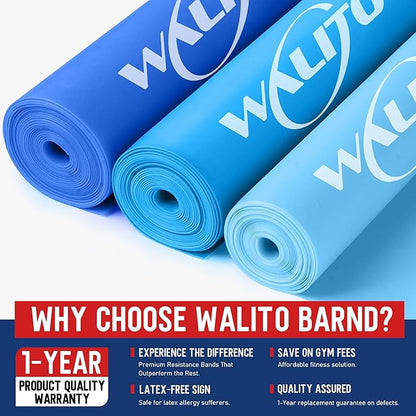 WALITO Resistance Bands for Working Out, Exercise Bands for Women and Men, Workout Bands for Physical Therapy, Stretch, Recovery, Pilates, Rehab, Strength Training and Home Gym