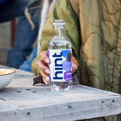 Hint Water Blackberry, Pure Water Infused with Blackberry, Zero Sugar, Zero Calories, Zero Sweeteners, Zero Preservatives, Zero Artificial Flavors, 16 Fl Oz (Pack of 12)