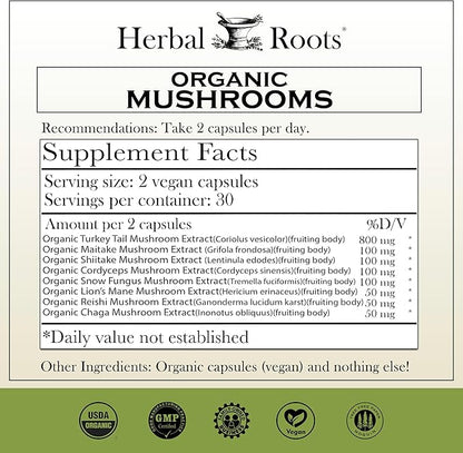 Herbal Roots Certified Organic Skin Health Trio, Apple Cider Vinegar, Fruiting Body Mushroom Blend, Black Elderberry,