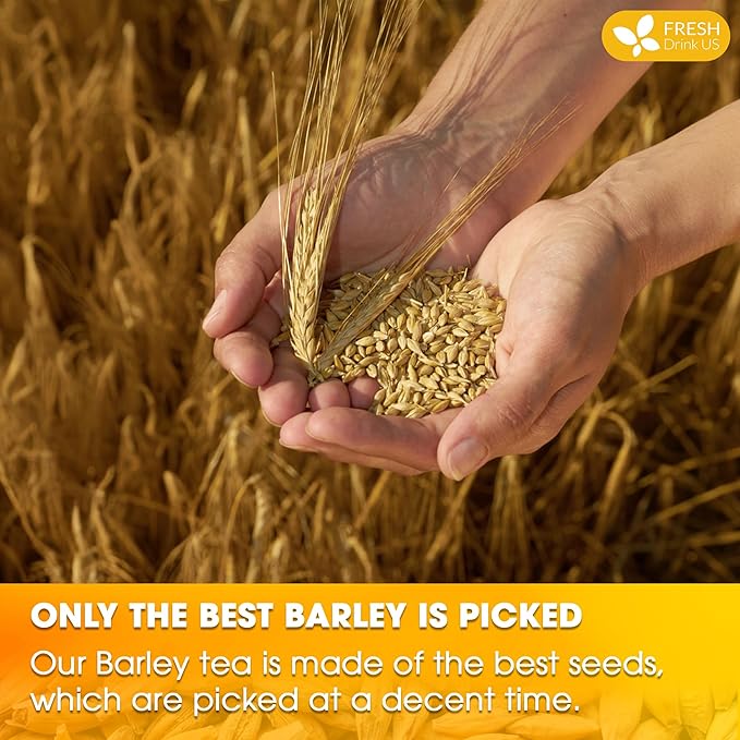 FreshDrinkUS Premium 120 Barley Tea Bags, 100% Natural & Pure. Loose Barley Herbal Tea. Made with Natural Material Tea Bags. No Sugar, No Caffeine, No Gluten, Vegan