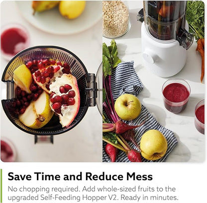 Hurom H310A Personal Self Feeding Slow Masticating Juicer (Matte Black)