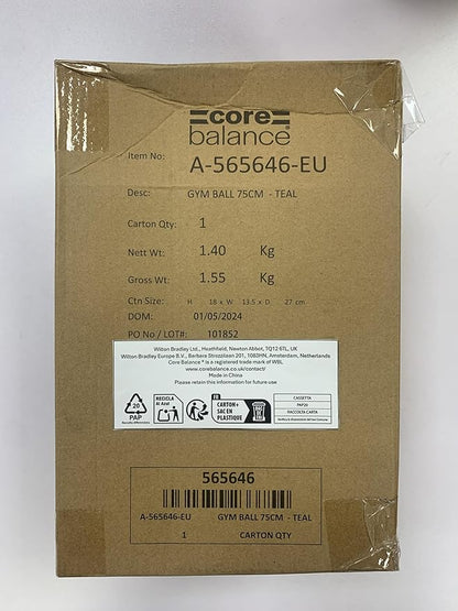 Exercise Ball for Workouts, Anti-Burst and Slip Resistant, Swiss Yoga Ball for Pregnancy, Stability, Fitness and Physical Therapy, 4 Sizes, with Pump