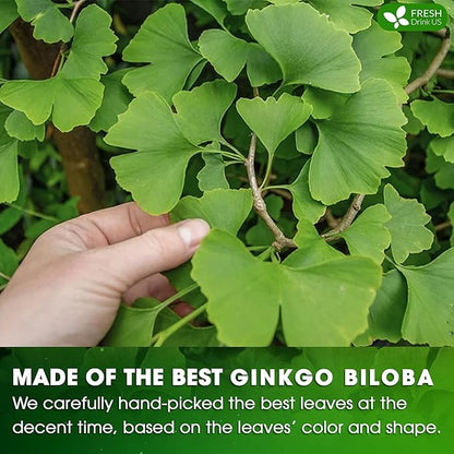 FreshDrinkUS, Premium 55 Ginkgo Biloba Leaf Tea Bags, 100% Natural & Pure from Ginkgo Biloba Leaves. Loose Leaf Herbal Tea. Made with Eco-Conscious Tea Bags. No Sugar, No Caffeine, No Gluten, Vegan.