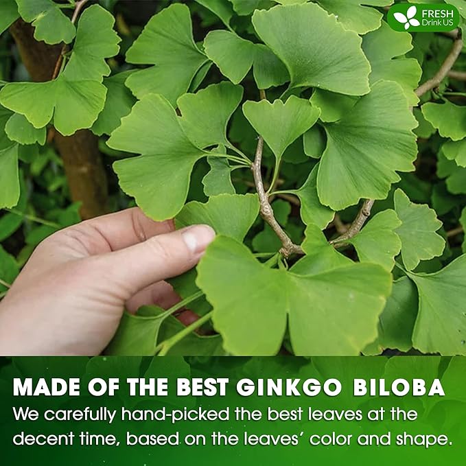 FreshDrinkUS, Premium 135 Ginkgo Biloba Leaf Tea Bags, 100% Natural & Pure from Ginkgo Biloba Leaves. Loose Leaf Herbal Tea. Made with Eco-Conscious Tea Bags. No Sugar, No Caffeine, No Gluten, Vegan.