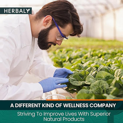 Herbaly Heart Functional Tea - 9 Superherbs - Natural, Organic, Non-GMO, Caffeine-Free, Sugar Free - 2 Pack, 60 Pyramid Tea Bags