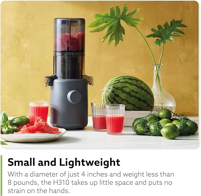 Hurom H310A Personal Self Feeding Slow Masticating Juicer (Matte Black)